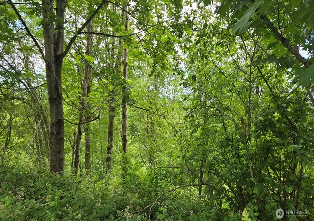 Photo 4 of Land for sale at 27339 SE 403rd (lots 39,47,48,49) St, Enumclaw, WA 98022 | MLS# NWM2544770 | Listing updated on 2026-09-22