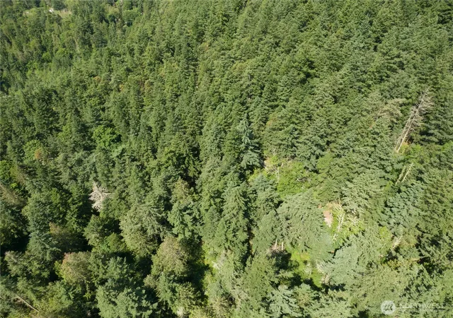 Photo 2 of Land for sale at 7280 Muriel Ln, Anacortes, WA 98221 | MLS# NWM2544937 | Listing updated on 2026-09-22