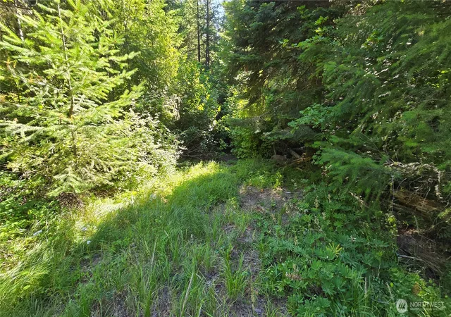 Photo 3 of Land for sale at 3 Lots Westside Rd, Cle Elum, WA 98922 | MLS# NWM2550007 | Listing updated on 2026-09-22