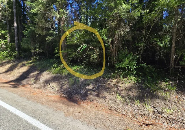 Photo 4 of Land for sale at 3 Lots Westside Rd, Cle Elum, WA 98922 | MLS# NWM2550007 | Listing updated on 2026-09-22