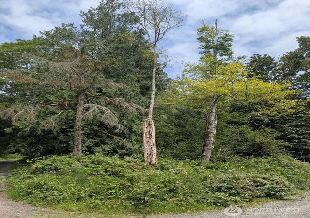 Photo 1 of Land for sale at 25314 Ebey Mountain Rd, Arlington, WA 98223 | MLS# NWM2551399 | Listing updated on 2026-09-22