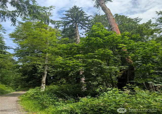 Photo 3 of Land for sale at 25314 Ebey Mountain Rd, Arlington, WA 98223 | MLS# NWM2551399 | Listing updated on 2026-09-22