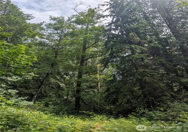 Photo 3 of Land for sale at 25314 Ebey Mountain Rd, Arlington, WA 98223 | MLS# NWM2551399 | Listing updated on 2026-09-22