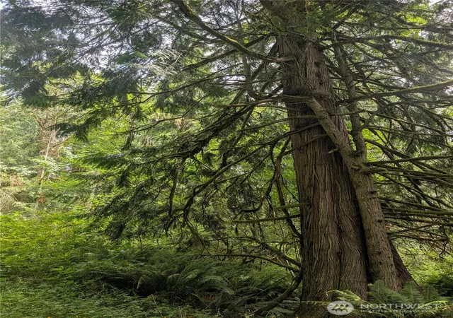 Photo 4 of Land for sale at 25314 Ebey Mountain Rd, Arlington, WA 98223 | MLS# NWM2551399 | Listing updated on 2026-09-22