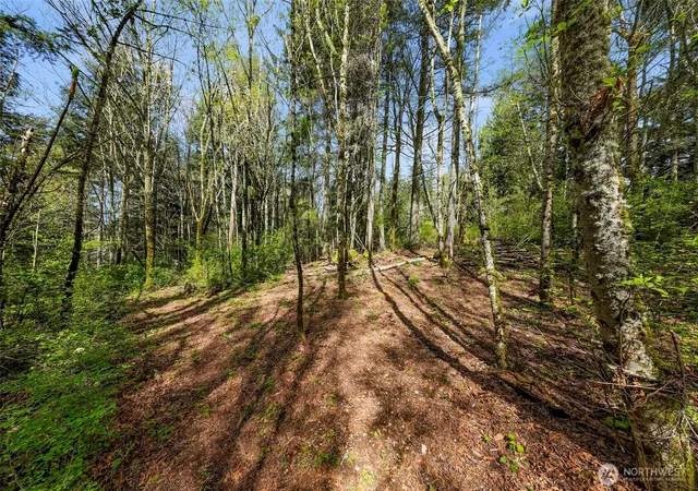 Photo 4 of Land for sale at 1800 40th Place, Bellingham, WA 98229 | MLS# NWM2551770 | Listing updated on 2026-09-22