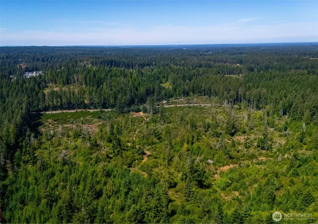 Photo 2 of Pending - Backup Offer Requested at 0 Xxxxx Algyer Rd Se, Rainier, WA 98576 | MLS# NWM2552256 | Listing updated on 2026-09-14