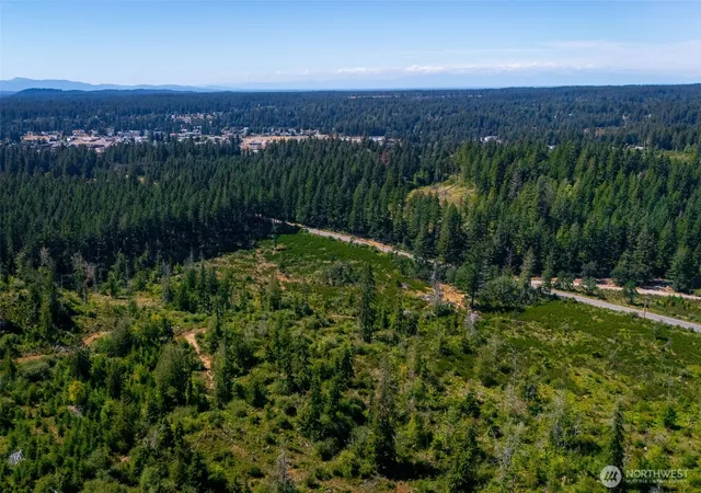 Photo 3 of Pending - Backup Offer Requested at 0 Xxxxx Algyer Rd Se, Rainier, WA 98576 | MLS# NWM2552256 | Listing updated on 2026-09-14