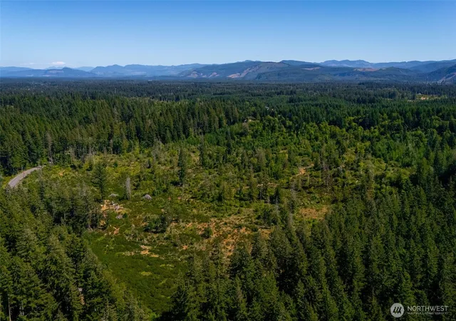 Photo 4 of Land for sale at 0 Xxxxx Algyer Rd SE, Rainier, WA 98576 | MLS# NWM2552256 | Listing updated on 2026-09-14