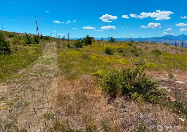 Photo 3 of Land for sale at 94 Allen Dr, Oroville, WA 98844 | MLS# NWM2555978 | Listing updated on 2026-09-22