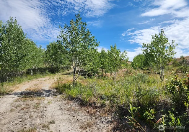 Photo 3 of Land for sale at 94 Allen Dr, Oroville, WA 98844 | MLS# NWM2555978 | Listing updated on 2026-09-22