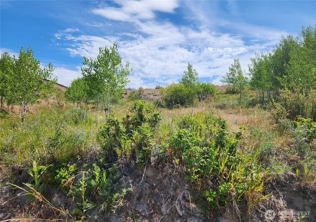 Photo 4 of Land for sale at 94 Allen Dr, Oroville, WA 98844 | MLS# NWM2555978 | Listing updated on 2026-09-22