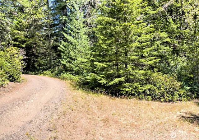 Photo 3 of Land for sale at 0 Ne Eagle Crk Ln, Tahuya, WA 98588 | MLS# NWM2556781 | Listing updated on 2026-09-22