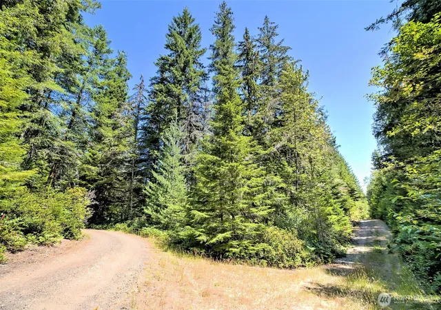 Photo 3 of Land for sale at 0 NE Eagle Crk Ln, Tahuya, WA 98588 | MLS# NWM2556781 | Listing updated on 2026-09-22