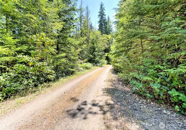 Photo 4 of Land for sale at 0 NE Eagle Crk Ln, Tahuya, WA 98588 | MLS# NWM2556781 | Listing updated on 2026-09-22