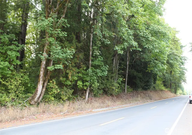 Photo 1 of Sale Pending at 0 Old Pacific Hwy, Castle Rock, WA 98611 | MLS# NWM2562512 | Listing updated on 2026-09-25