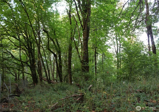 Photo 4 of Sale Pending at 0 Old Pacific Hwy, Castle Rock, WA 98611 | MLS# NWM2562512 | Listing updated on 2026-09-25