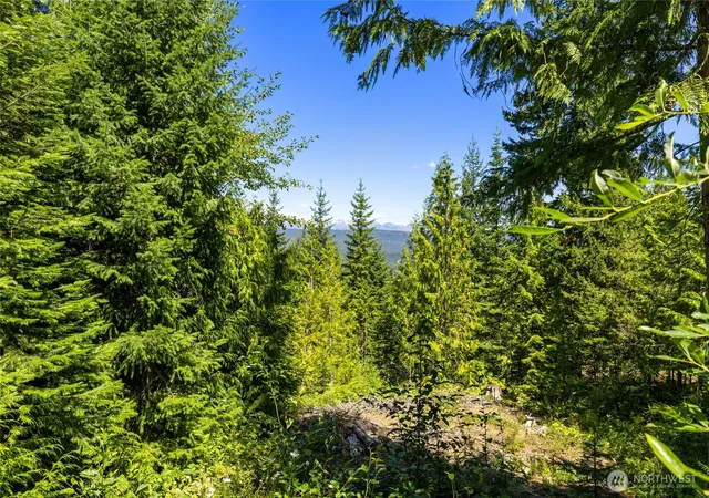 Photo 4 of Land for sale at 91 Basin Crk Way, Cle Elum, WA 98922 | MLS# NWM2564230 | Listing updated on 2026-09-23