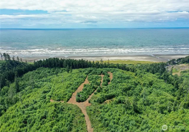 Land for sale at 0 Xxxo State Route 109, Pacific Beach, WA 98571 | MLS# NWM2566426