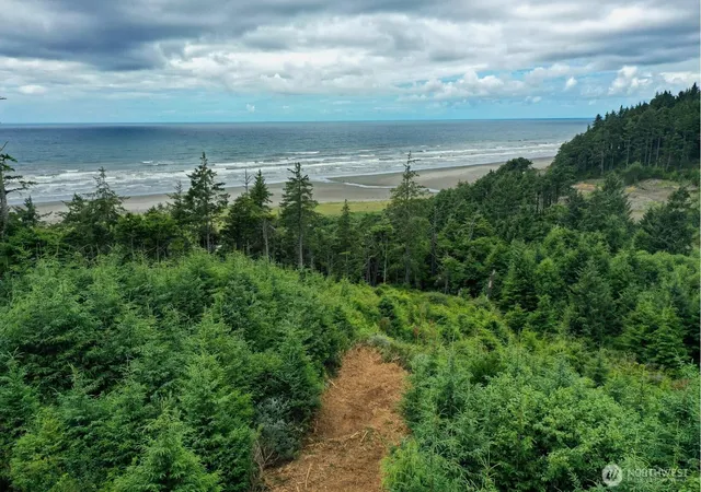 Photo 3 of Land for sale at 0 Xxxo State Route 109, Pacific Beach, WA 98571 | MLS# NWM2566426 | Listing updated on 2026-09-23