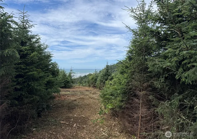 Photo 4 of Land for sale at 0 Xxxo State Route 109, Pacific Beach, WA 98571 | MLS# NWM2566426 | Listing updated on 2026-09-23