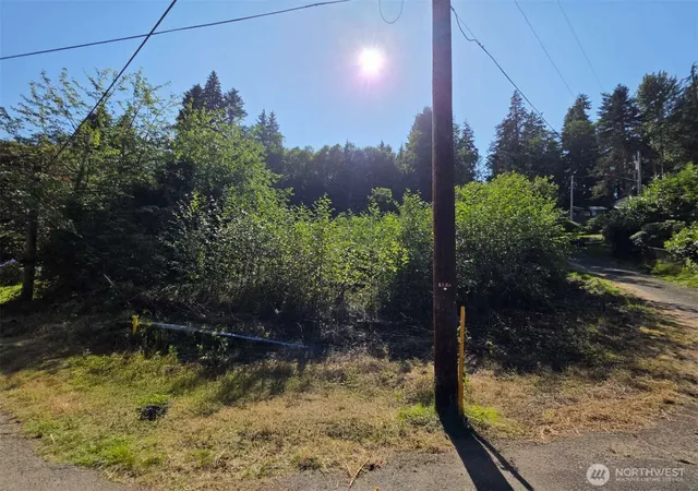 Photo 2 of Land for sale at 929 Duffy St, Aberdeen, WA 98520 | MLS# NWM2567034 | Listing updated on 2026-09-23