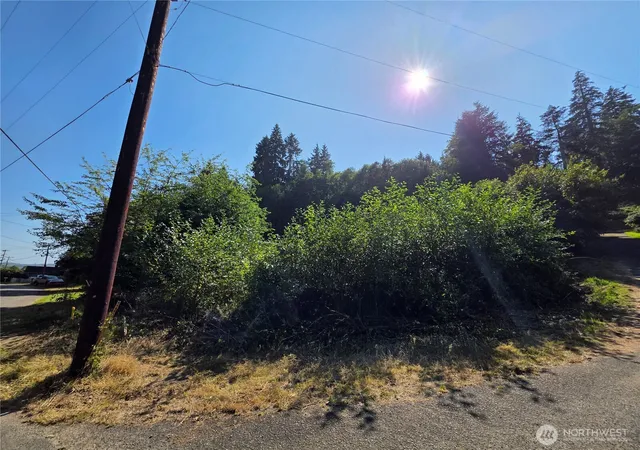 Photo 3 of Land for sale at 929 Duffy St, Aberdeen, WA 98520 | MLS# NWM2567034 | Listing updated on 2026-09-23