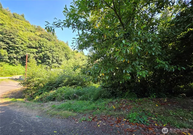 Photo 3 of Land for sale at 929 Duffy St, Aberdeen, WA 98520 | MLS# NWM2567034 | Listing updated on 2026-09-23