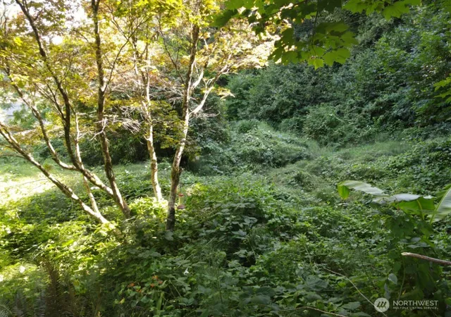 Photo 4 of Land for sale at 0 Xx Friday Ln, Aberdeen, WA 98520 | MLS# NWM2567036 | Listing updated on 2026-09-23