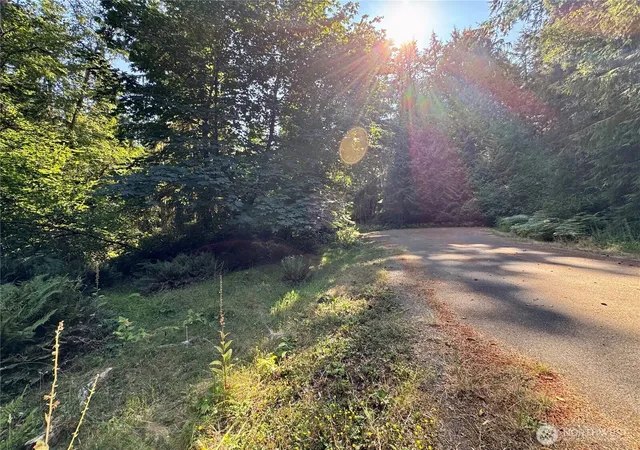 Photo 2 of Land for sale at 10516 106th Street, Anderson Island, WA 98303 | MLS# NWM2568606 | Listing updated on 2026-09-23