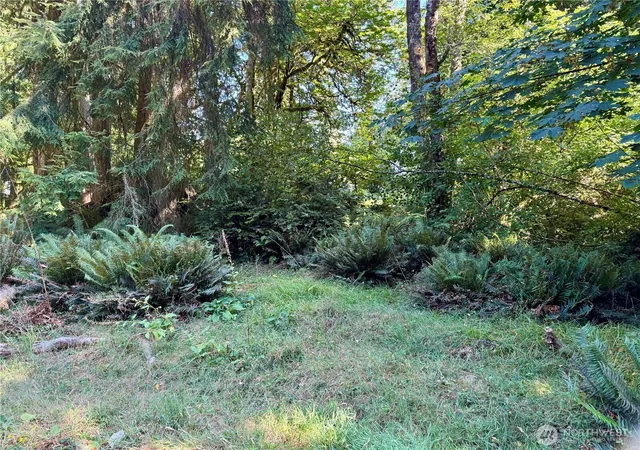 Photo 3 of Land for sale at 10516 106th Street, Anderson Island, WA 98303 | MLS# NWM2568606 | Listing updated on 2026-09-23
