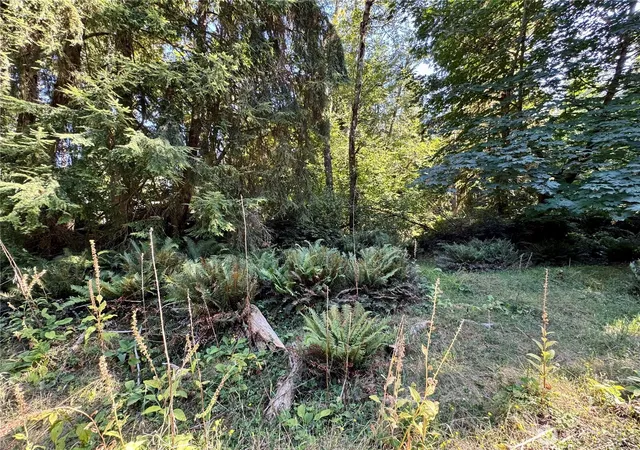 Photo 3 of Land for sale at 10516 106th Street, Anderson Island, WA 98303 | MLS# NWM2568606 | Listing updated on 2026-09-23