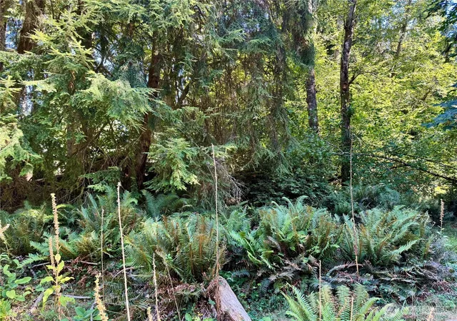 Photo 4 of Land for sale at 10516 106th Street, Anderson Island, WA 98303 | MLS# NWM2568606 | Listing updated on 2026-09-23