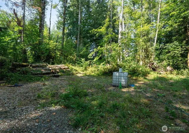 Photo 2 of Land for sale at 54982 214th Avenue E, Elbe, WA 98330 | MLS# NWM2568742 | Listing updated on 2026-09-23