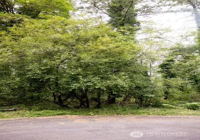 Photo 4 of Land for sale at 8531 NE Willow Dr, Olympia, WA 98506 | MLS# NWM2569167 | Listing updated on 2026-09-20