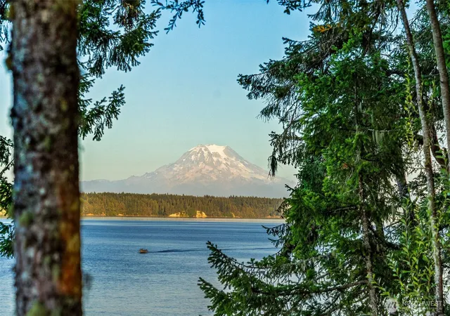 Photo 4 of Single family home for sale at 9224 Baird Rd NE, Olympia, WA 98516 | MLS# NWM2569377 | Listing updated on 2026-09-23