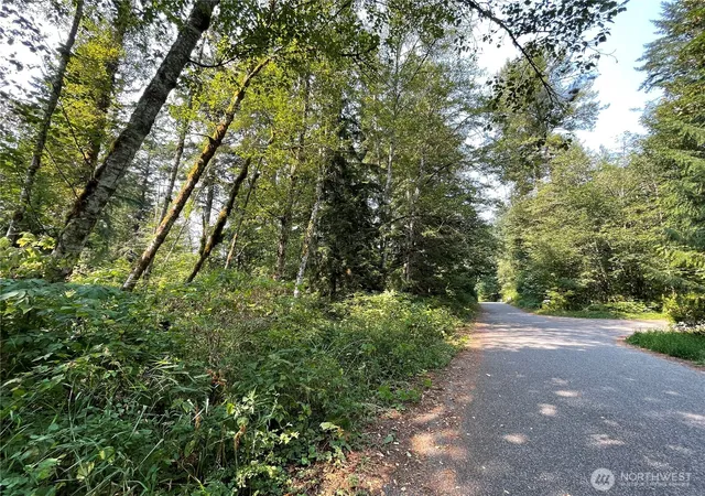 Land for sale at 7521 Olsen Dr, Deming, WA 98244 | MLS# NWM2570357