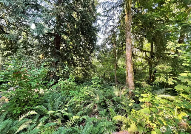 Photo 2 of Land for sale at 7521 Olsen Dr, Deming, WA 98244 | MLS# NWM2570357 | Listing updated on 2026-09-23