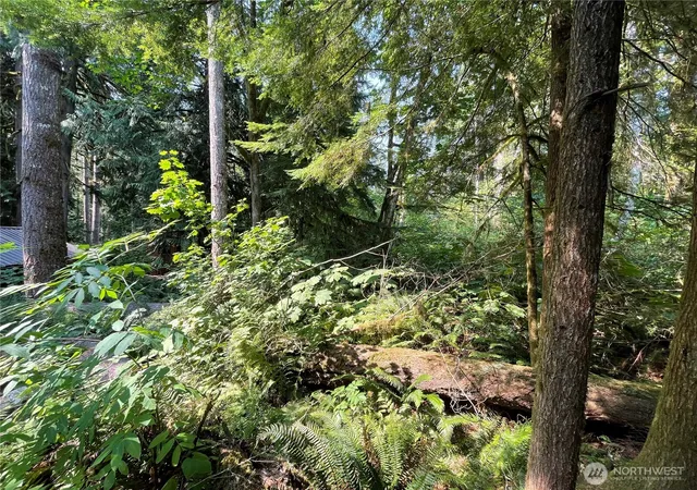 Photo 4 of Land for sale at 7521 Olsen Dr, Deming, WA 98244 | MLS# NWM2570357 | Listing updated on 2026-09-23