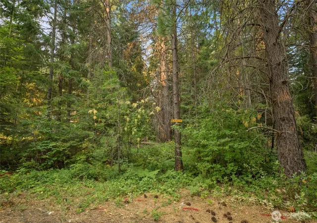 Photo 3 of Land for sale at 2 Oakmont, Cle Elum, WA 98922 | MLS# NWM2571057 | Listing updated on 2026-09-23