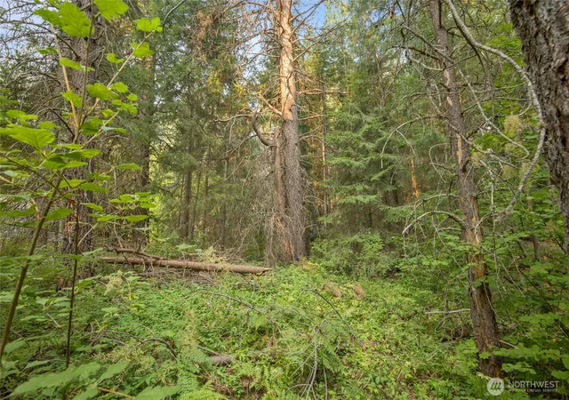 Photo 2 of Land for sale at 1 Oakmont, Cle Elum, WA 98922 | MLS# NWM2571060 | Listing updated on 2026-09-23