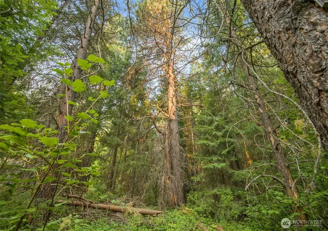 Photo 3 of Land for sale at 1 Oakmont, Cle Elum, WA 98922 | MLS# NWM2571060 | Listing updated on 2026-09-23