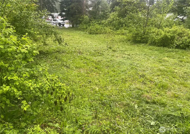 Photo 4 of Land for sale at 6159 Hawthorne Pl, Maple Falls, WA 98266 | MLS# NWM2571076 | Listing updated on 2026-09-23