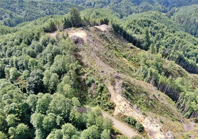 Photo 2 of Land for sale at 0 Mp 13 Smith Crk Rd, Cosmopolis, WA 98537 | MLS# NWM2571714 | Listing updated on 2026-09-25