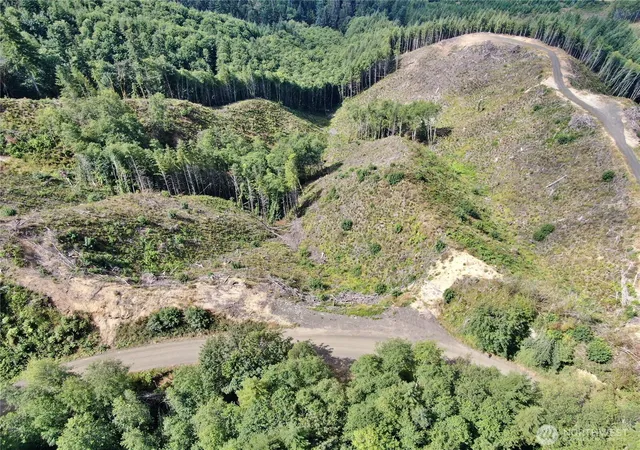 Photo 3 of Land for sale at 0 Mp 13 Smith Crk Rd, Cosmopolis, WA 98537 | MLS# NWM2571714 | Listing updated on 2026-09-25