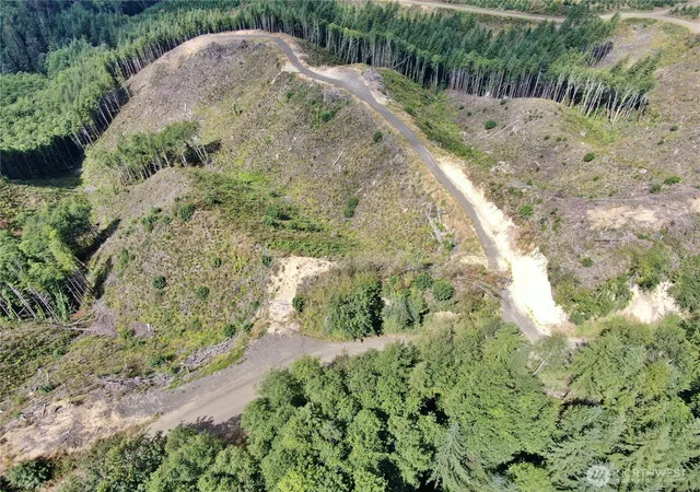 Photo 3 of Land for sale at 0 Mp 13 Smith Crk Rd, Cosmopolis, WA 98537 | MLS# NWM2571714 | Listing updated on 2026-09-25