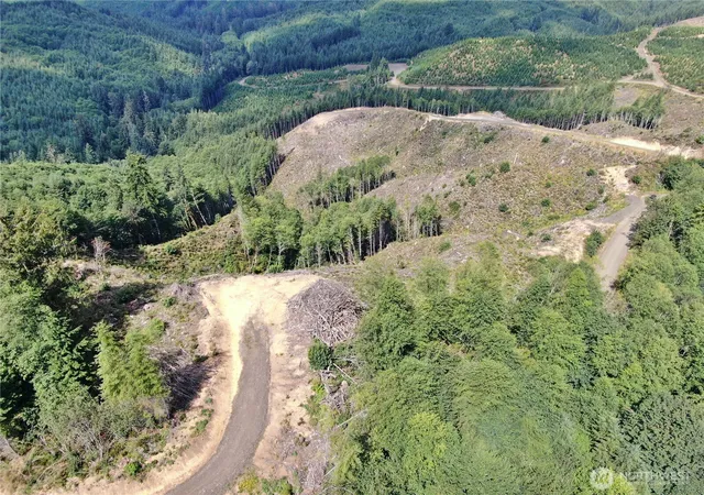 Photo 4 of Land for sale at 0 Mp 13 Smith Crk Rd, Cosmopolis, WA 98537 | MLS# NWM2571714 | Listing updated on 2026-09-25