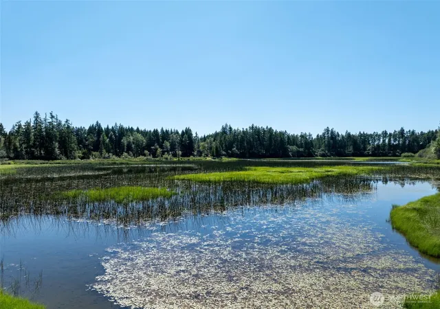 Photo 1 of Land for sale at 2531 W Hanks Lake Rd, Shelton, WA 98584 | MLS# NWM2571924 | Listing updated on 2026-09-23