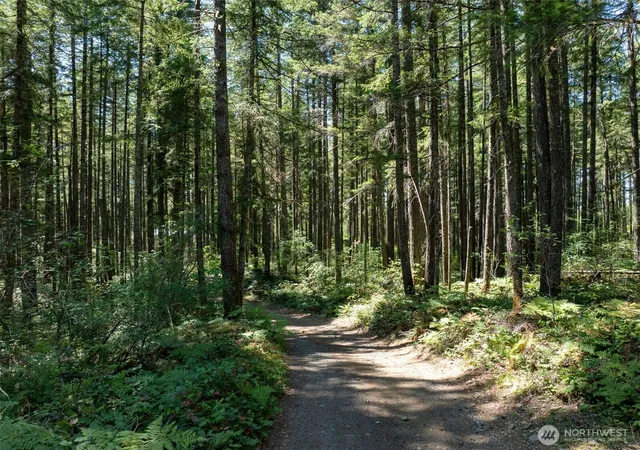 Photo 3 of Land for sale at 2531 W Hanks Lake Rd, Shelton, WA 98584 | MLS# NWM2571924 | Listing updated on 2026-09-23
