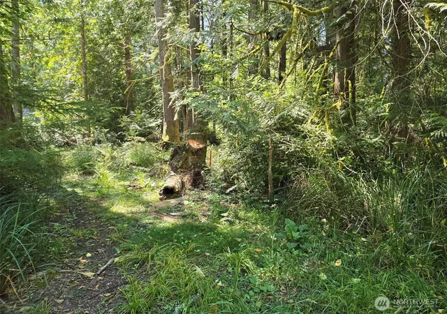 Photo 2 of Land for sale at 100 E Liberty Rd, Shelton, WA 98584 | MLS# NWM2572150 | Listing updated on 2026-09-25