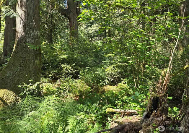 Photo 3 of Land for sale at 100 E Liberty Rd, Shelton, WA 98584 | MLS# NWM2572150 | Listing updated on 2026-09-25